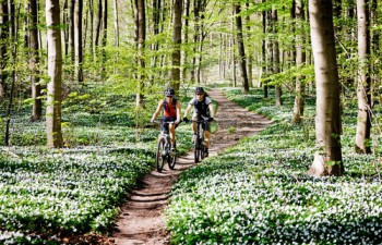 Mountainbiken Holtenberg